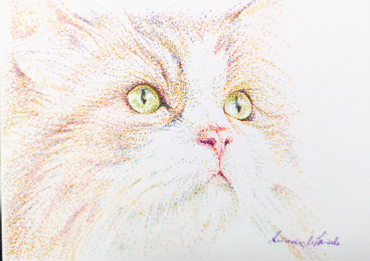 ペットの絵画制作します サイズ15㎝以下でペン画の実物を納品させていただきます。 イメージ2