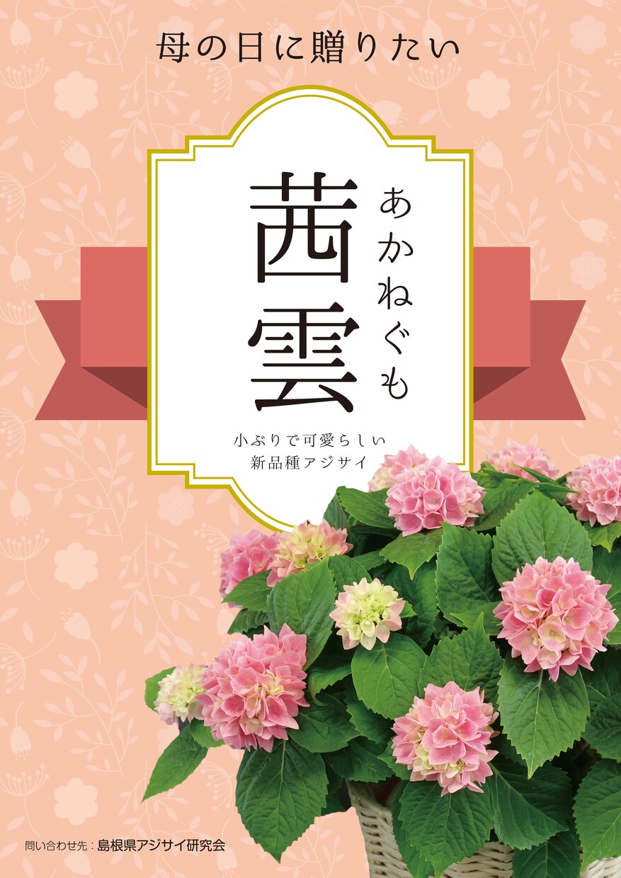 ちゃんとしたポスター作ります プロレベルのポスターを作りたい方！お任せください！ イメージ5