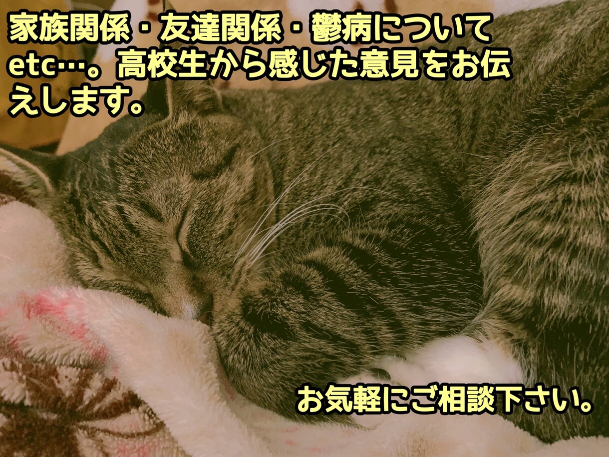 高校生からの目線で答えます 何でも相談受け付けます。高校生ならではの答えを出します。 イメージ1