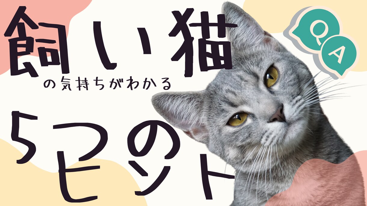 見やすい、わかりやすいサムネイル作成承ります 【最安】費用を抑えたい方はぜひ！(VLOG・ホラー・ペット) イメージ1