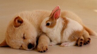 1コイン★あなたのお話なんでもお聞きします 家族、彼氏、友達みたいに寄り添ってお話ししませんか？ イメージ3