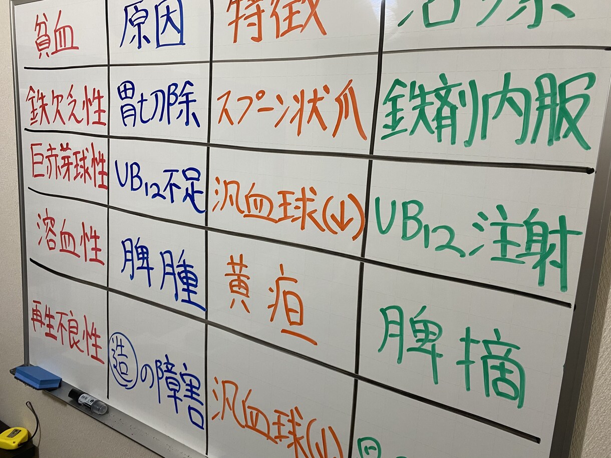 看護学生さん必見！完全個別サポートを行います 国家試験対策・実習対策、なんでもご相談ください⭐️ イメージ4