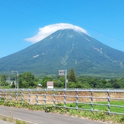 行政事務経験豊富。Ａ４版８ページ２日で校正します 公文書や行政紙の文書校正経験２０年以上。迅速丁寧な対応 イメージ1