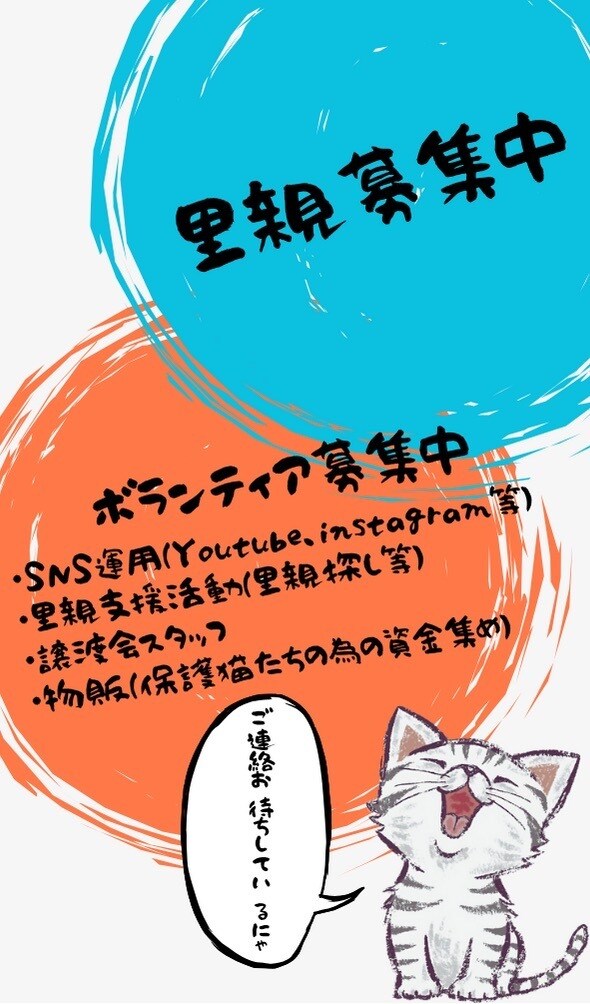 名刺とポストカードをつくります 想いを形に、つながりをデザイン イメージ4
