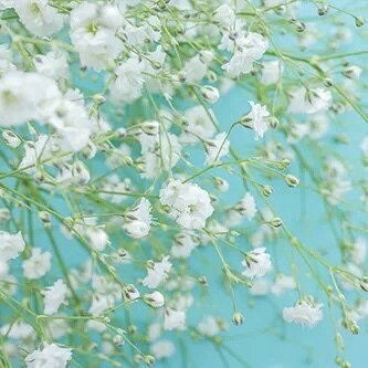 癒しの時間(⑅ˊᵕˋ⑅)♡何でもお話伺います ご相談から愚痴・雑談までお気軽にどうぞ♡恋愛相談大歓迎♡ イメージ3