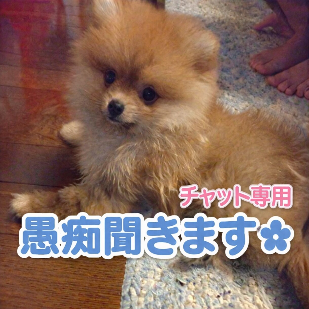誰にも言えない愚痴、やさしく❀チャットで聞きます つらい気持ちやモヤモヤ、やさしくお聞きします❀ イメージ1