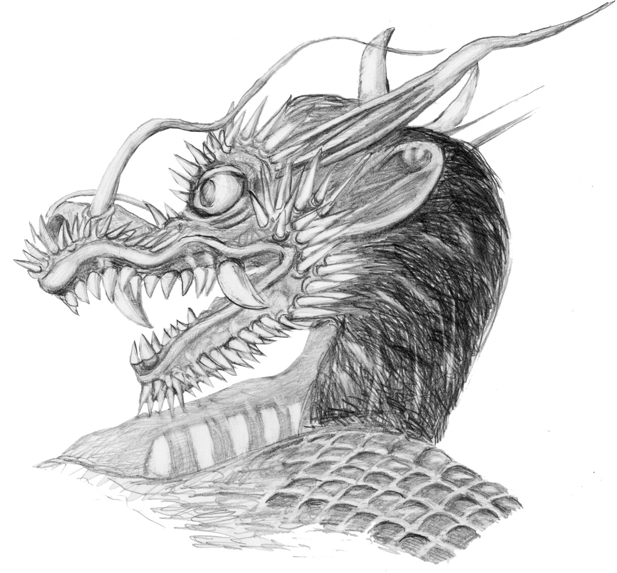 手描きの温かいタッチを心がけています デザイン科卒業で、デッサンを学んでいます イメージ4
