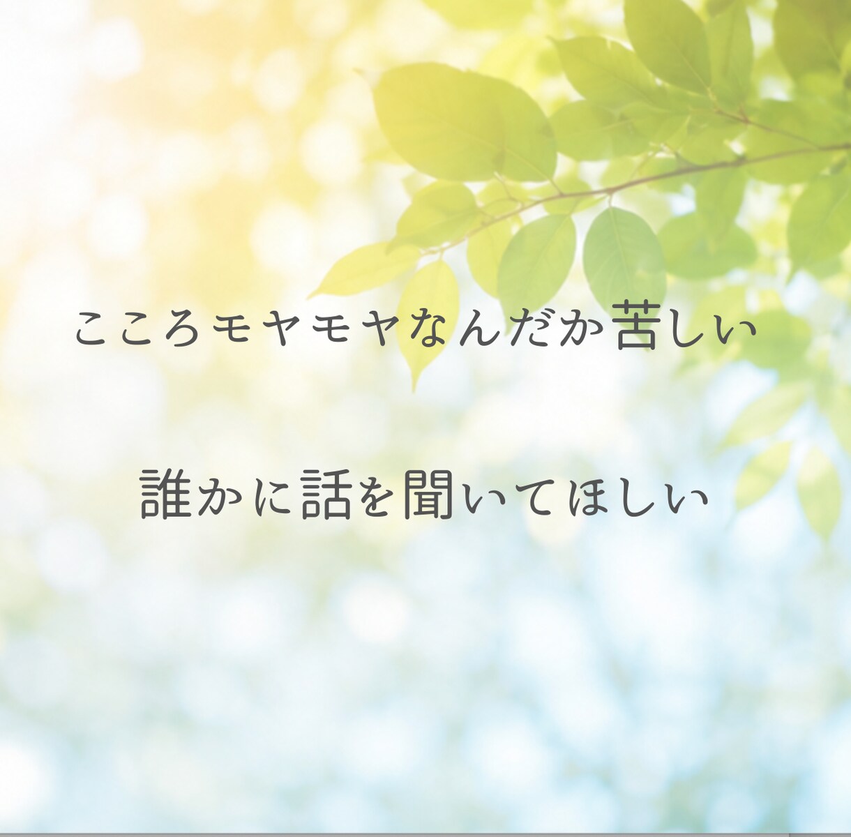 3分OK｜心のモヤモヤをやさしくお聞きします ✿深い気持ちに気づき、本来の自分に戻るきっかけづくりを イメージ2