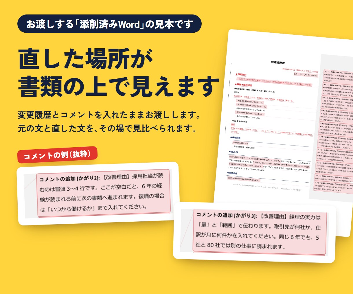職務経歴書添削・作成｜人事のプロが作成します 採用側の勘所｜なぜ直したのかの解説メモ付きで納品 イメージ4