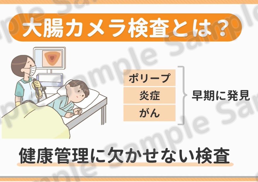 医療・専門分野の解説動画を制作します 医療・専門分野の解説動画を制作します イメージ9
