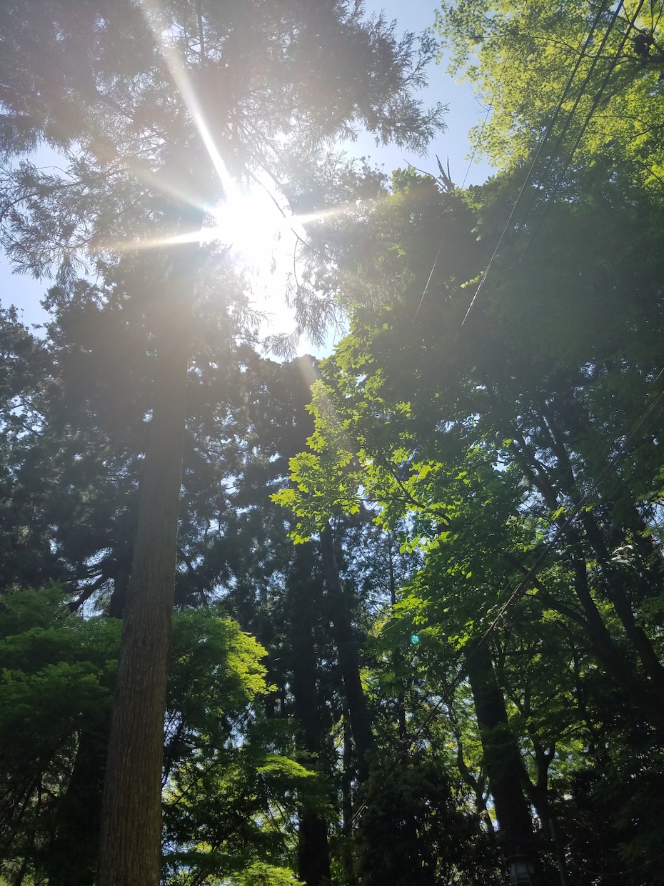 必要なメッセージをお届けします 恋愛、健康、仕事、その他。気になることをお尋ねください♪ イメージ1