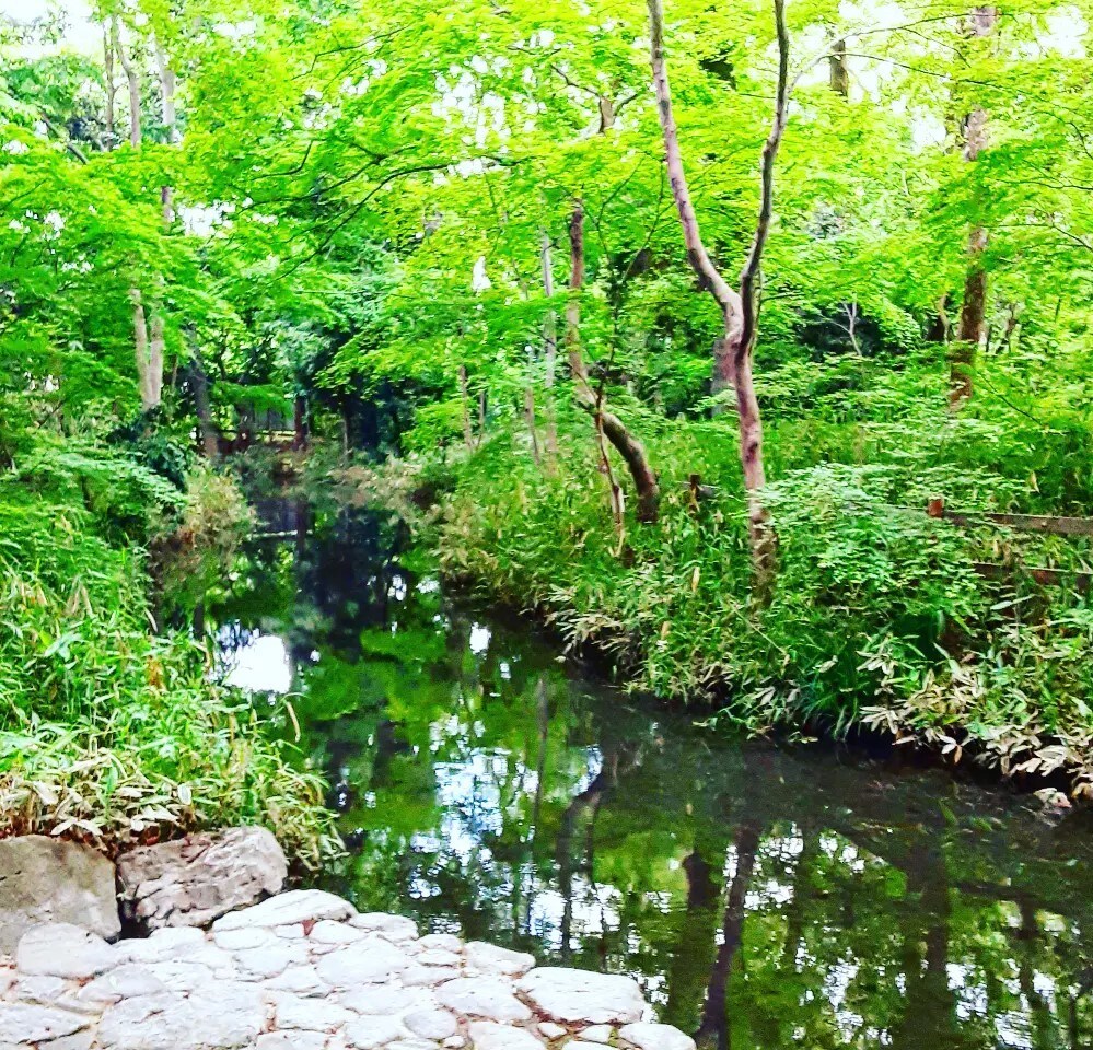 京都の四季の写真提供しています 京都の何気ない風景や四季の風景写真 イメージ9
