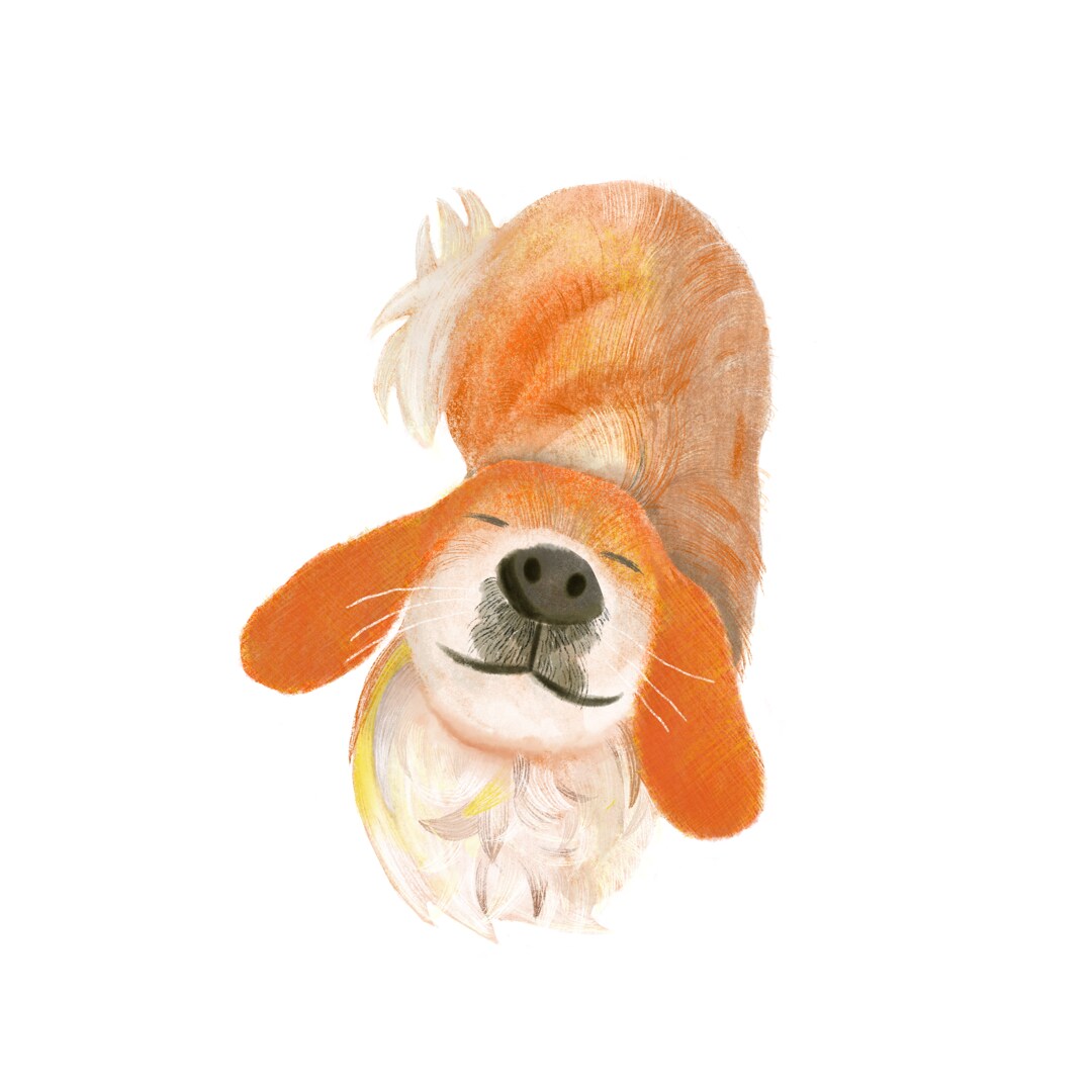 3ポーズ3枚あなたのペットの絵を描きます 動物 リクエスト背景入可能 ペット絵 うさぎ 犬 猫 小動物 イメージ1