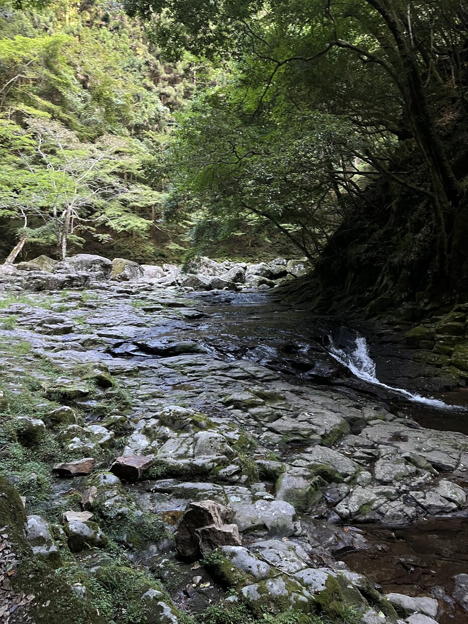 話すだけで心が軽くなる。あなたの想いを受けとめます 	「お悩みカフェ - 1分からの気軽な相談」 イメージ2