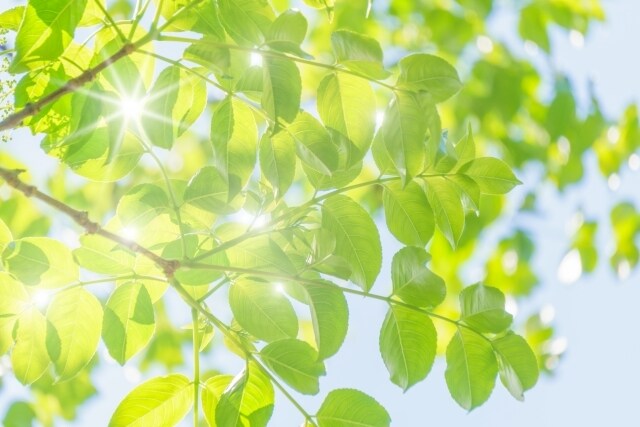 60分チャット悩み・愚痴・相談✨優しく寄り添います 秘密厳守！大丈夫ですか？お話聞きます。一緒に考えましょう☘️ イメージ6