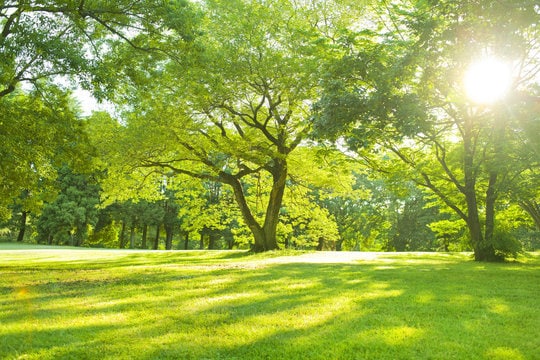 にほんご ぶんぽうを おしえます 初級者(しょきゅうしゃ)から上級者(じょうきゅうしゃ)まで イメージ1