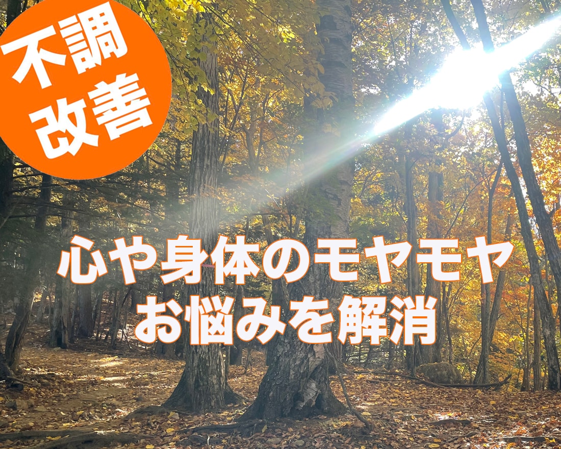 原因不明のモヤモヤ⭐️遠隔気功で解消します 遠隔気功ヒーリングで、「病気ではないんだけど不調」を解消 イメージ1