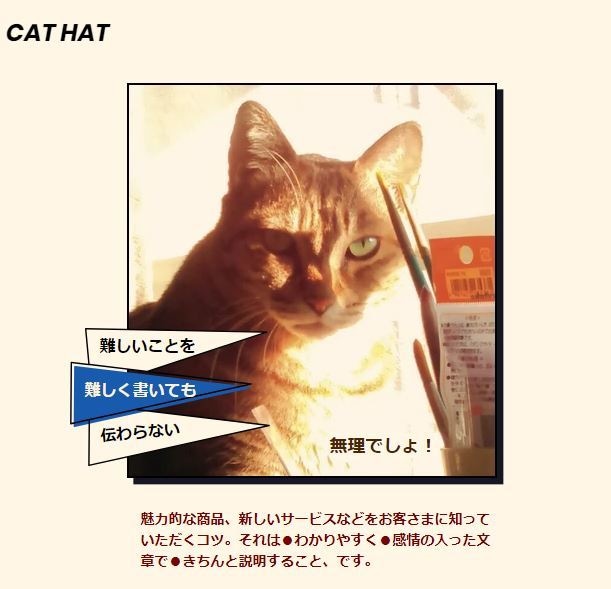 インタビューをもとにブログ等の記事を作成します 本職のコピーライターです。企業、人物、福祉、旅、動物等が得意 イメージ1