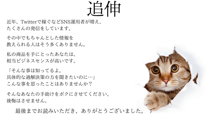 懇切丁寧にプロフィール添削をします 簡単にプロフ作成ができる教科書もプレゼント イメージ6