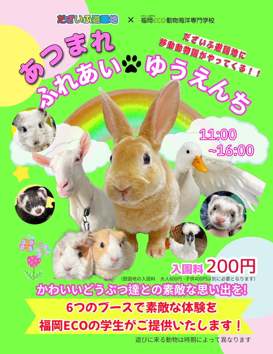 動物関係、子供向けチラシを作成します 大人から子供まで目で見て楽しめる作品をお届けします イメージ1