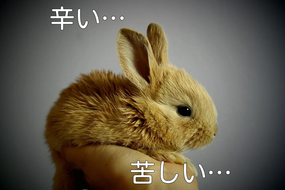 うつ病、うつ病かもって方のお悩みをお聞きします 疲れた、辛い、先が不安などの悩みをトークルームでお話聞きます イメージ1