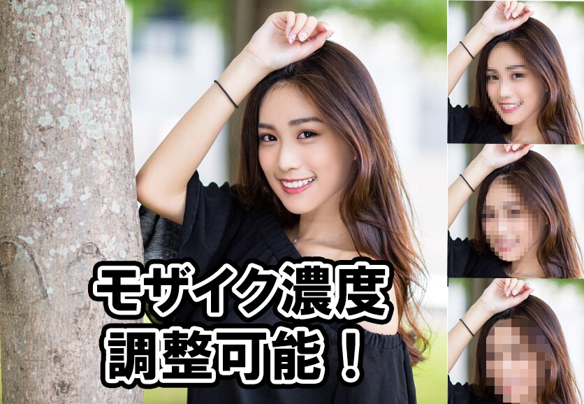 格安価格でめんどうな動画のモザイク処理をします 大人向けサービスからYouTubeまで経験あり！ イメージ2
