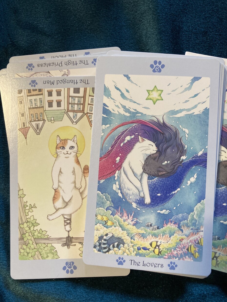 カードで前世を観てお悩みにお答えします 守護して下さる方からのメッセージを受取ます｡ご利用ください イメージ6