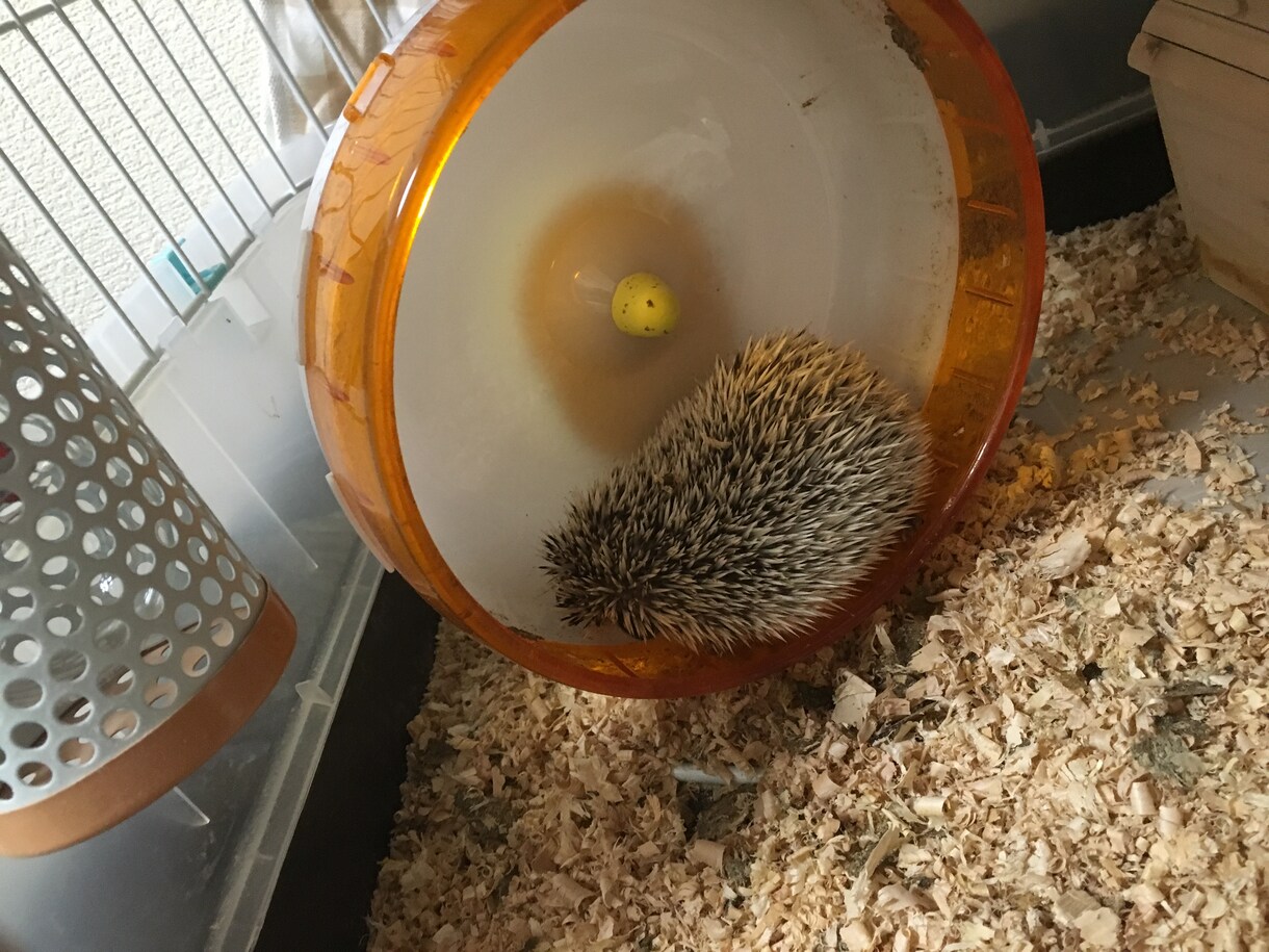 データ入力代行します イメージ1