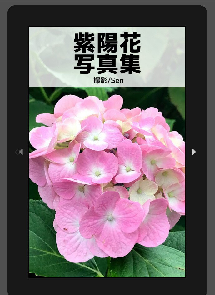 Kindle用の書籍データ作ります e-pub・mobiのみ(○ 絵・画像メイン　△文章メイン） イメージ2