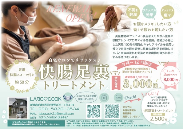 集客に強いわかりやすいチラシデザイン致します オリジナルデザイン！エステサロン様などご注文多数！ イメージ3