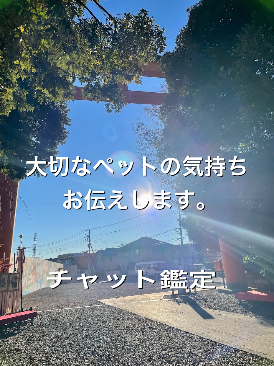 ペットの気持ちお伝えします 大切な家族であるペットの気持ちチャットにてお伝えします。 イメージ1
