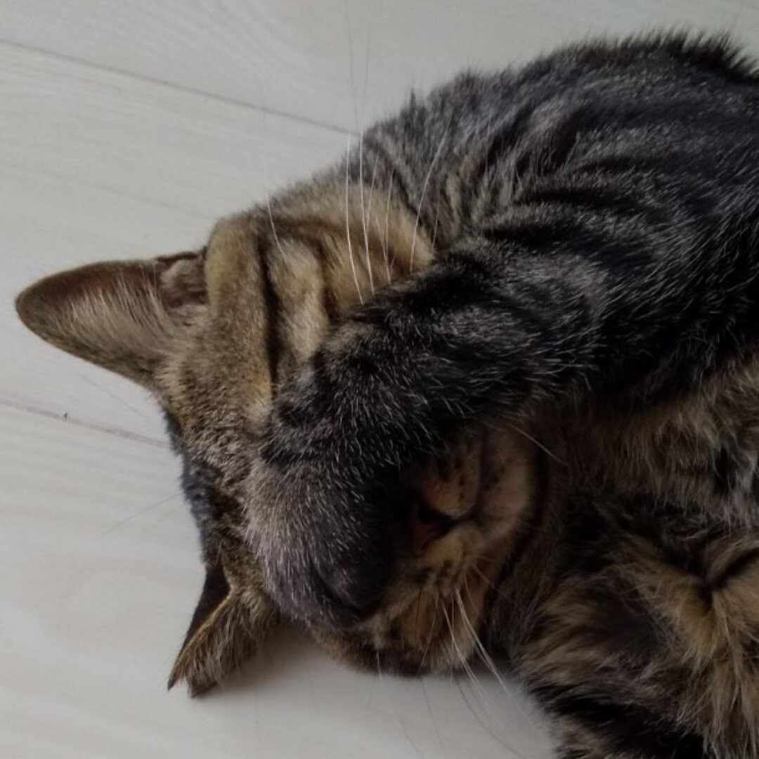 他人が理解し難い身近なもやもやを整理します 頭の中をシンプルにすると日常は割とハッピーになります イメージ1