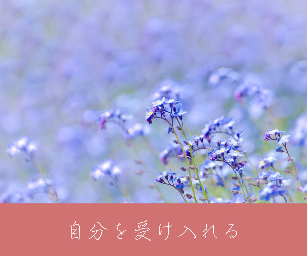 あなたが生まれ持った性質をお伝えします 自分が分からない、人生にお悩みの方へ イメージ3