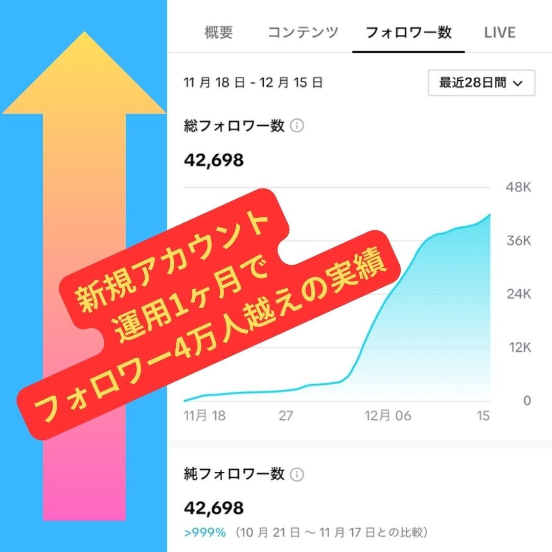 現役プロがSNS運用代行いたします Instagram,Twitter(X)の運用です。 イメージ3