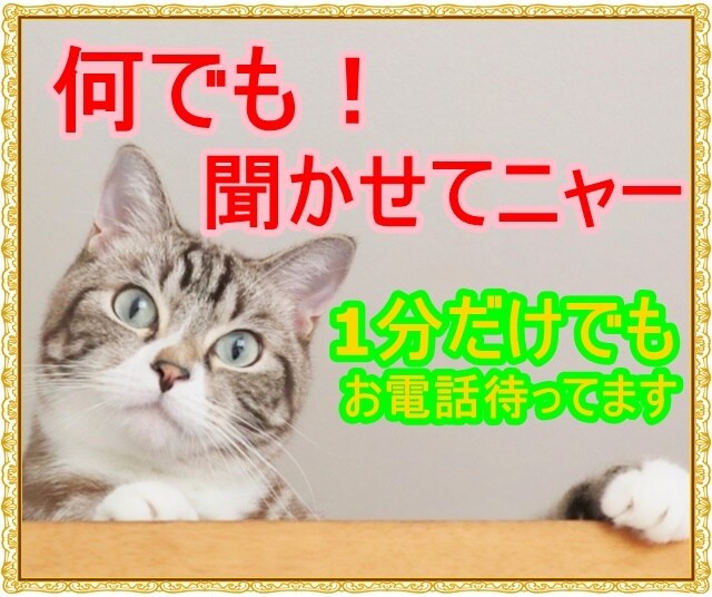 何でもOK！１分でもすぐ話したい！ときお聞きします なんか聞いて～てとき気楽にお電話ください イメージ1