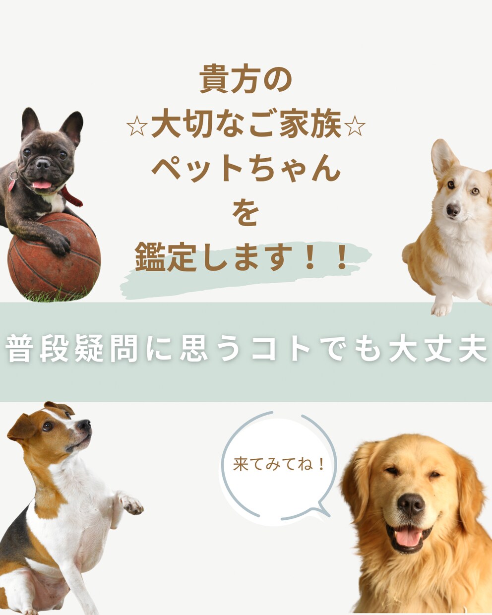 大切なペットの鑑定を霊感霊視霊聴でみます 純度の高い力☆国に書物が残る霊感霊視家系の力でみます イメージ1