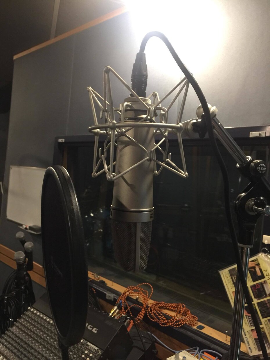 歌の編集プロ現場定番Melodyneで行います ボーカルのピッチ（音程）、リズム補正でプロクオリティ仕上げ！ イメージ6