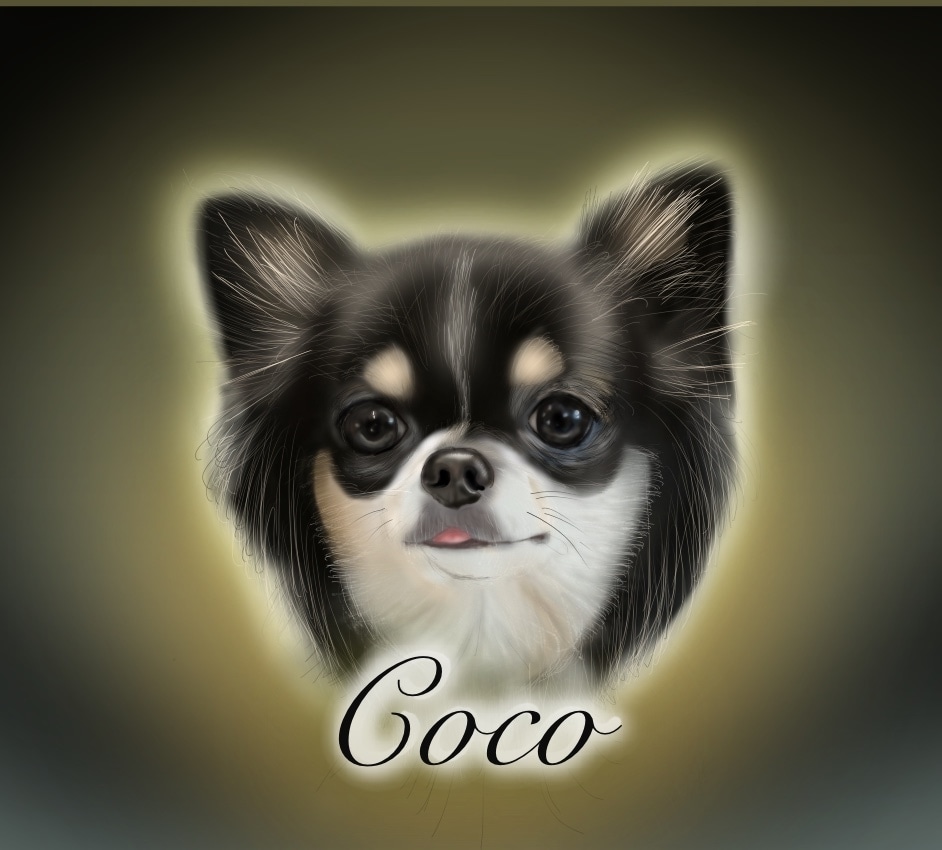 愛犬(チワワちゃん専門)の似顔絵描きます 記念日に我が子の絵を作ってみませんか？ イメージ2