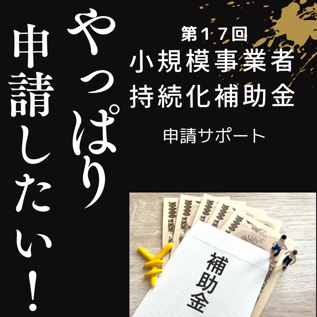 小規模事業者持続化補助金（第１７回）の支援をします ～持続化補助金、第１回から支援しています～ イメージ1
