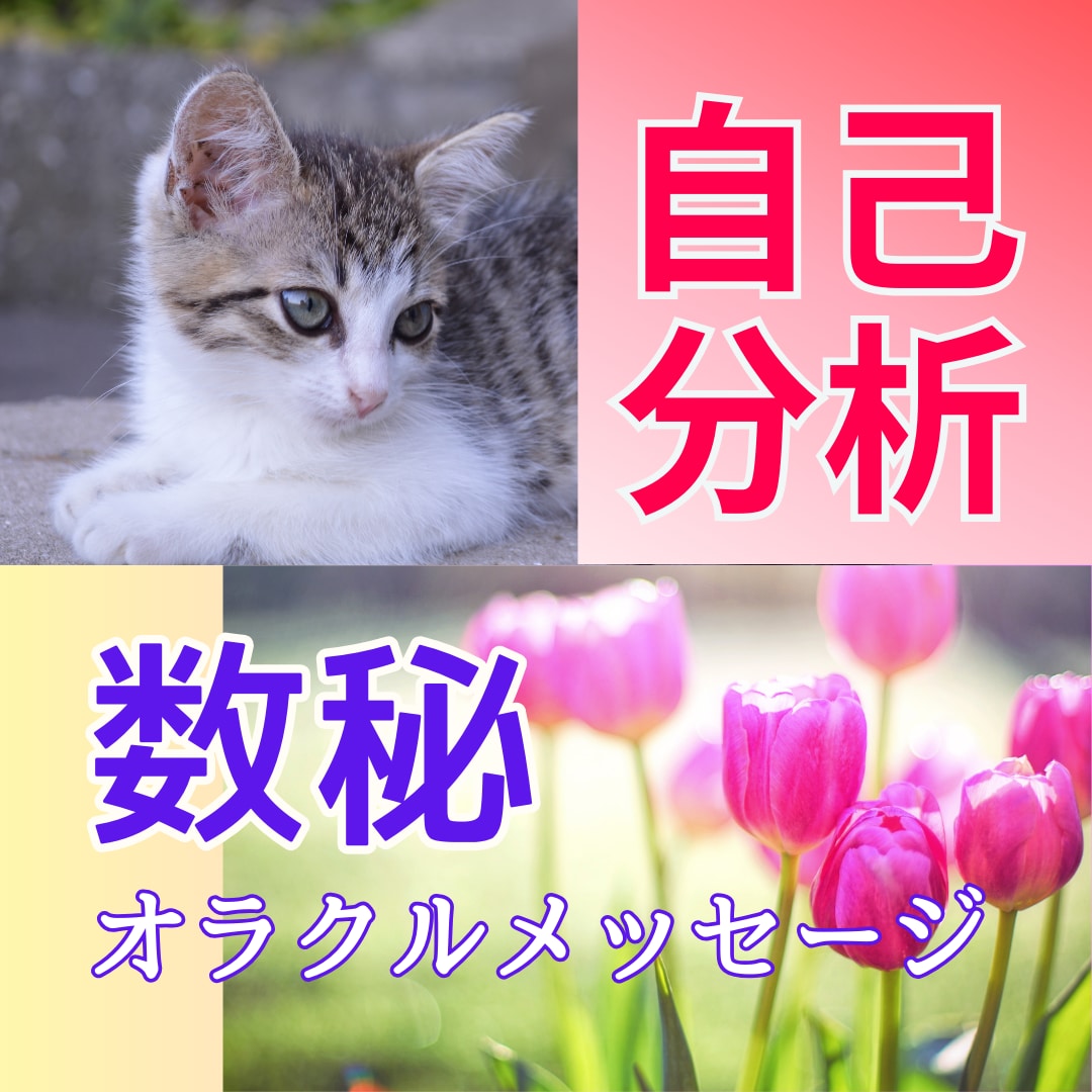 数秘＆オラクル！自分らしく生きたいあなたに届けます 知ってますか自分のこと？本当はもっと生きやすくなれるんです♡ イメージ1