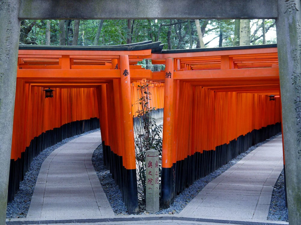恋や性、いろんな悩みを聞いてみます おねぇ占い師だから話せることもあるんじゃない？ イメージ1