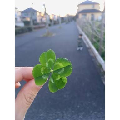 貴方には貴方自身の恋愛があります 恋愛という迷宮から貴方を救い出します！ イメージ1
