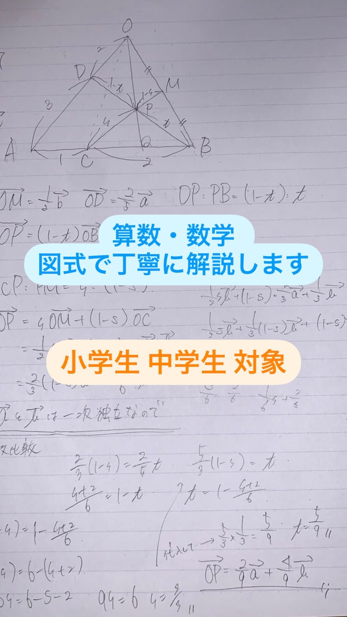 小中学校の算数 数学を低価格で丁寧に解説します 図式による解答/進学校理系出身/現役家庭教師/大学理系学部 イメージ1