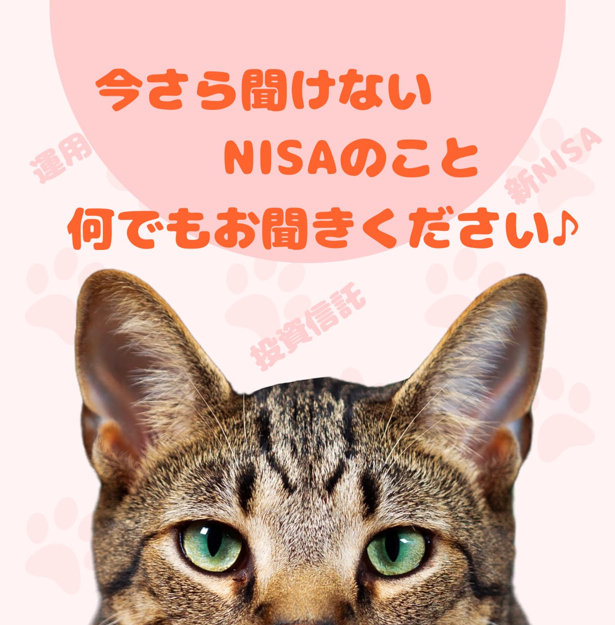 元銀行員、１級FPがNISA、投信の疑問に答えます 通話相談OK！今さら聞けない疑問を解消しましょう♪ イメージ1