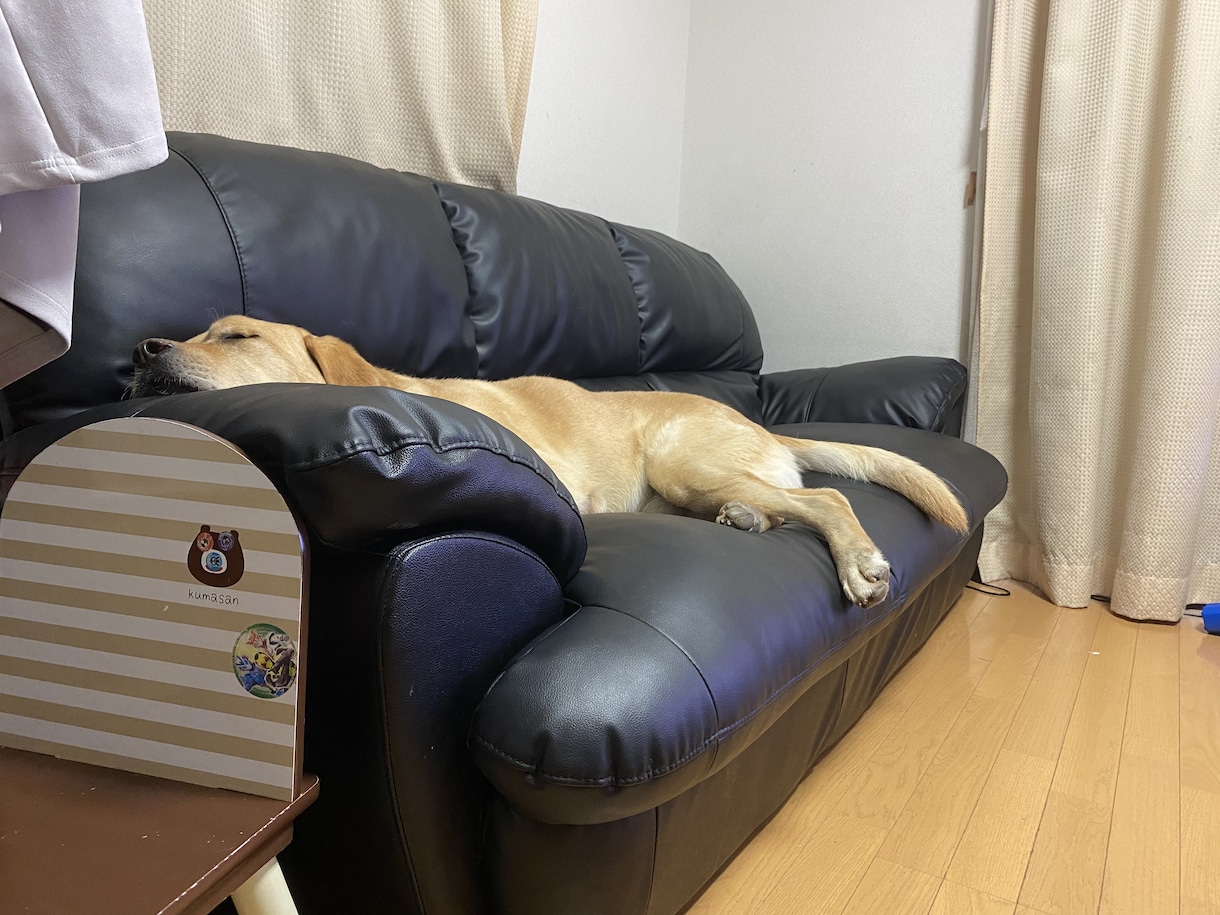 優しく心に寄り添い気持ちを共有します ニコ生でも相談放送何年もしてました！実績はあります。 イメージ2