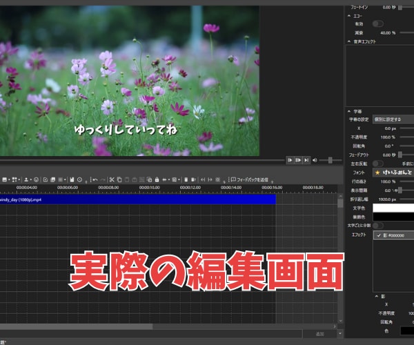 ゆっくり解説・2CHスレ・ずんだもん編集代行します YMM4を使った動画編集代行/複数本ご依頼も可能 イメージ6