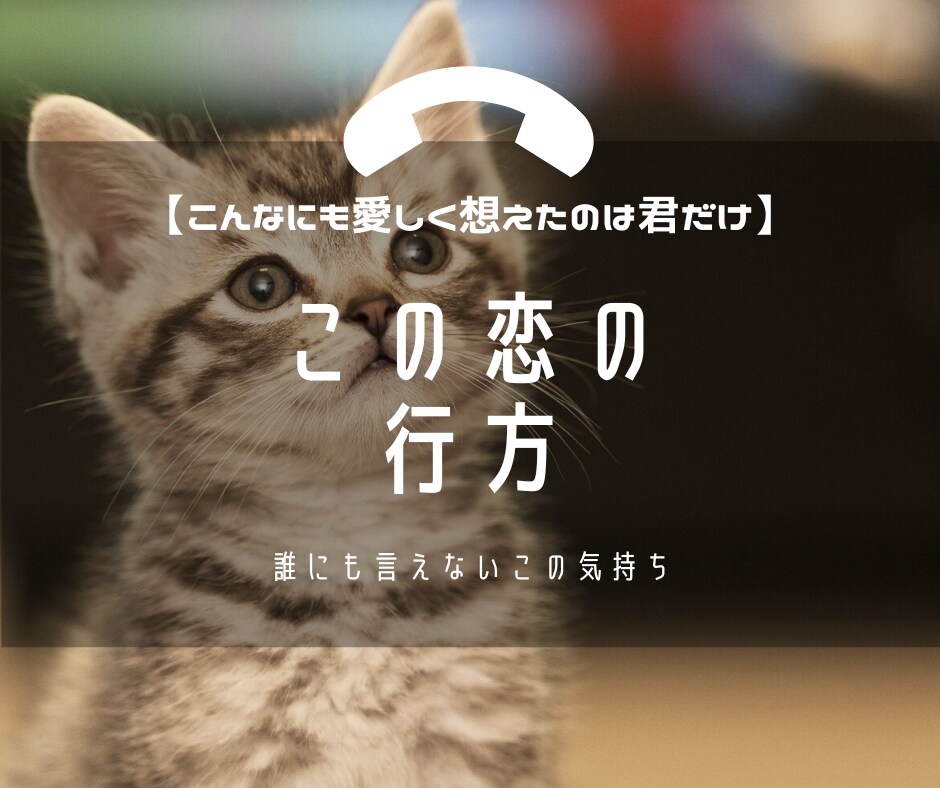 寄り添い☘️あなたの秘密の恋の行方❤️✨を占います ✨復縁、不倫、浮気、二股、初恋の人との再会、同性愛、セフレ イメージ1