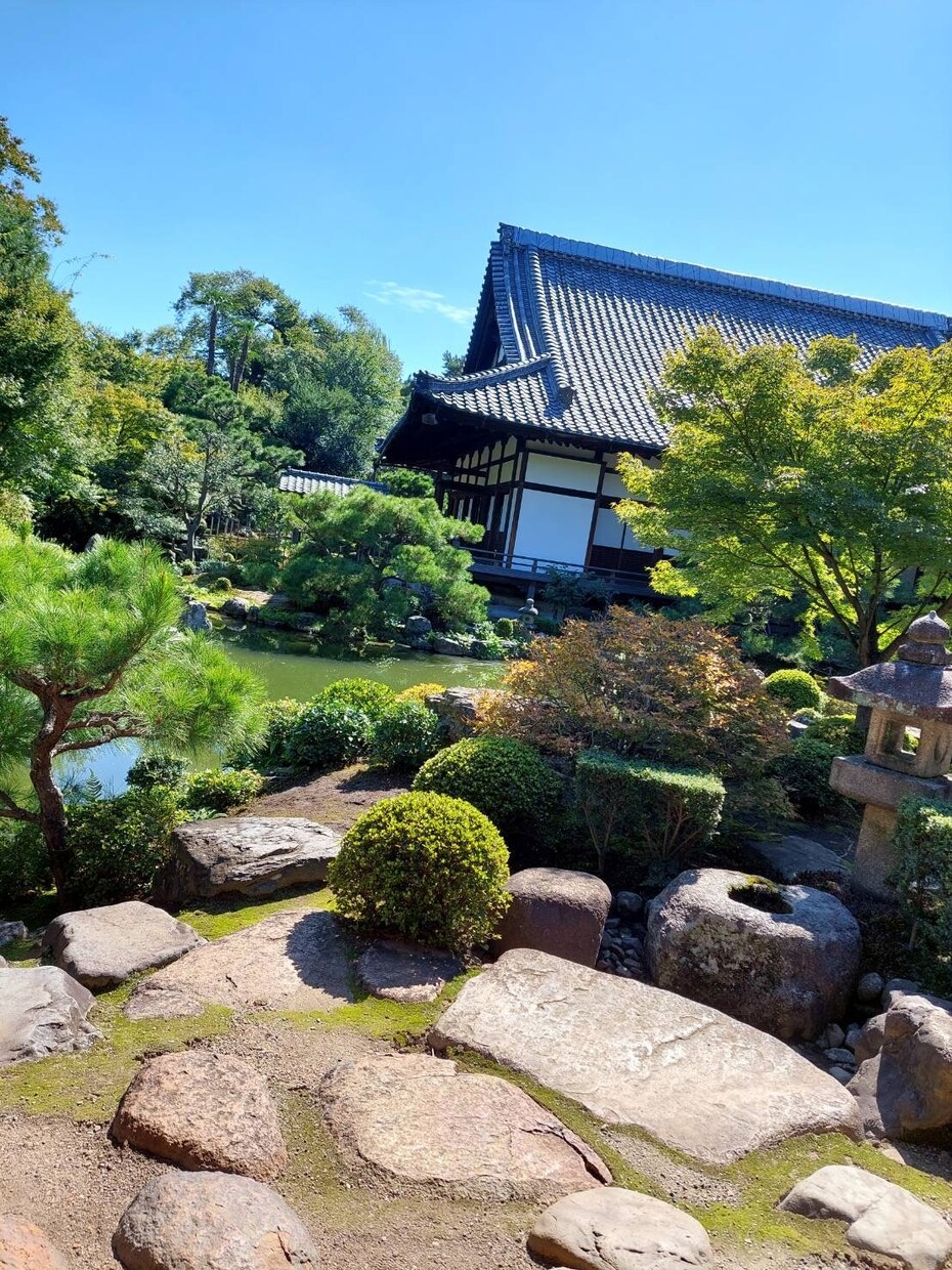 簡単な写真加工や雰囲気のある写真を提供いたします 安価で納得いただける写真を提供出来ればと考えています。 イメージ4