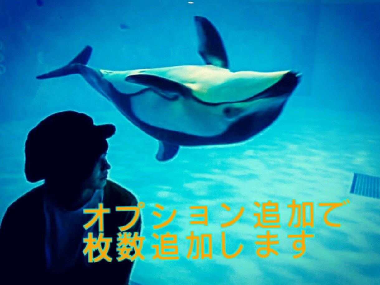 誠意を込めてタロット占いを致します 基本的にワンオラクルで。追加引くときあります。匿名評価OK。 イメージ1
