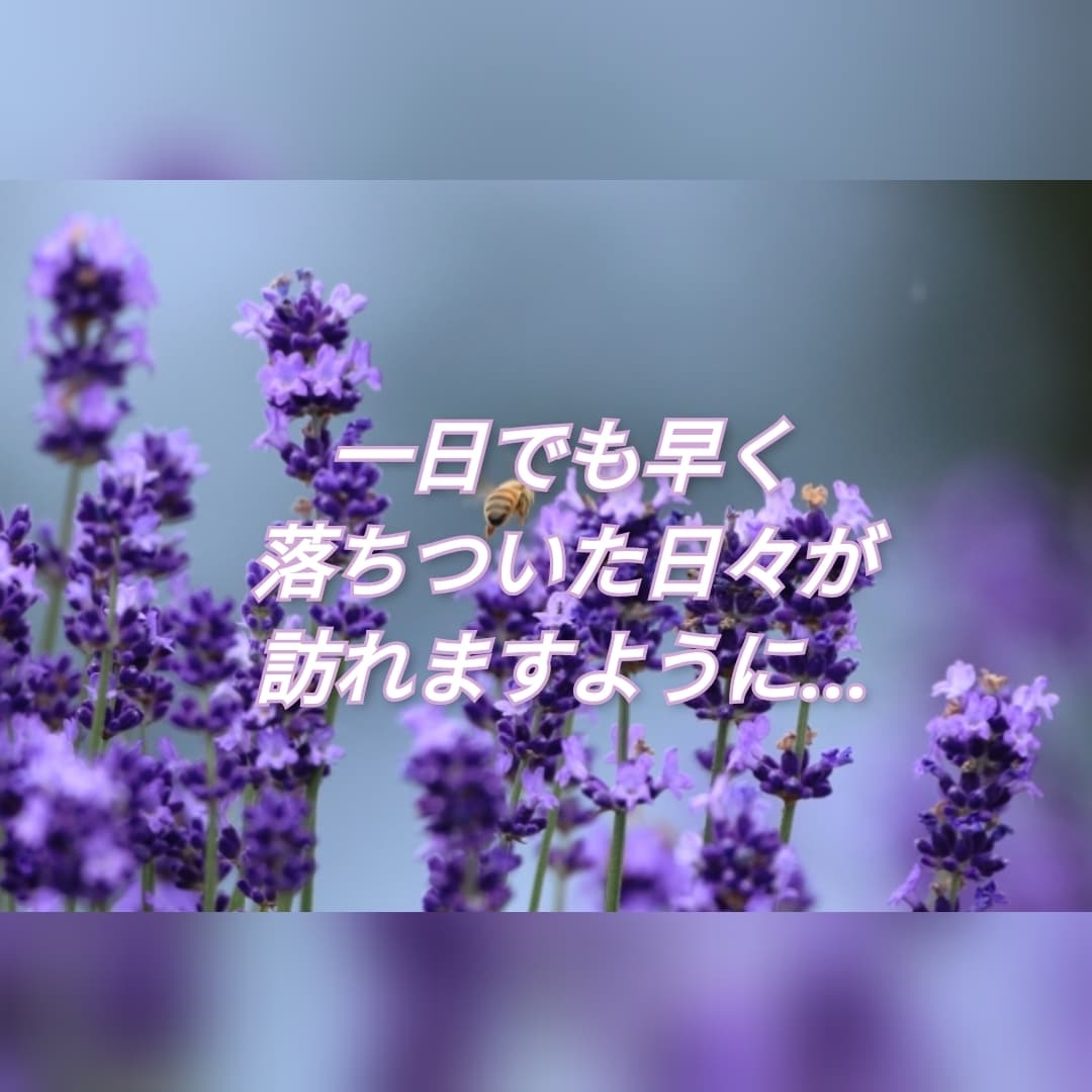 あなたの「孤独」と「悩み」に寄り添います 深夜限定 話すことで気持ちが楽になる ✨ イメージ10